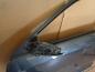 Preview: Audi A3 8P 3-T?rer T?r Fahrert?r Vorne Links grau : LX7Z