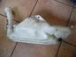 Preview: Peugeot 206 Waschwasserbeh?lter 9628747480