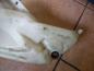 Preview: Peugeot 206 Waschwasserbeh?lter 9628747480