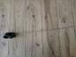 Preview: Fiat Punto 188 Bj 2001 Original T?rgriff Innen Vorne Rechts