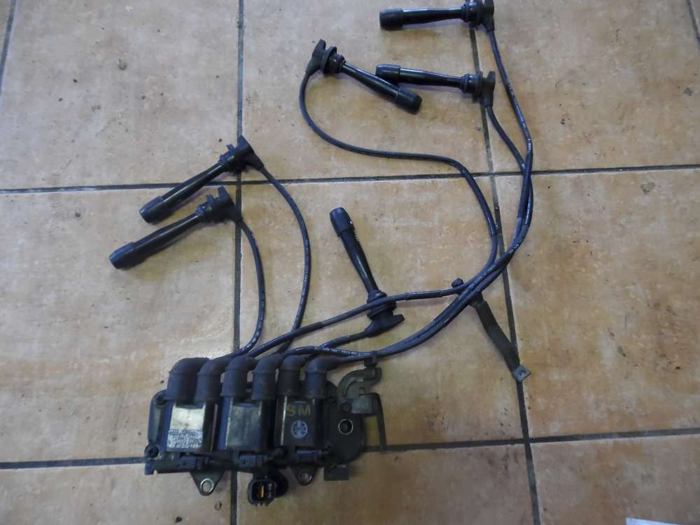 Hyundai Santa Fe I SM Bj 2004 Zündspule mit Zündkabeln 27301-37123