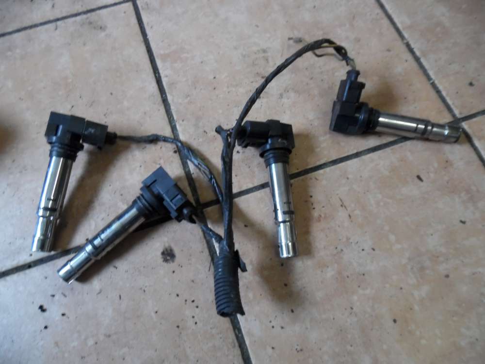 VW Polo 9N 1,4 Zündspulensatz 0040102030