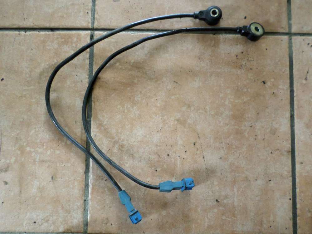 Audi A6 Klopfsensoren 054905377