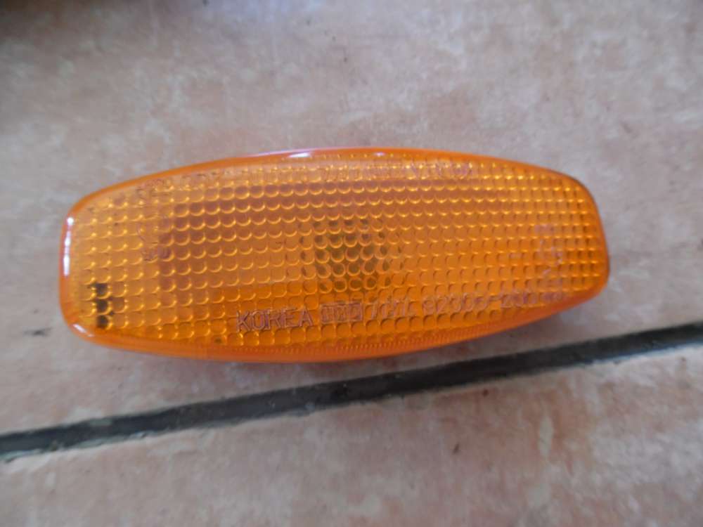 Hyundai Santa Fe I SM Bj 2004 Blinker Seitenblinker