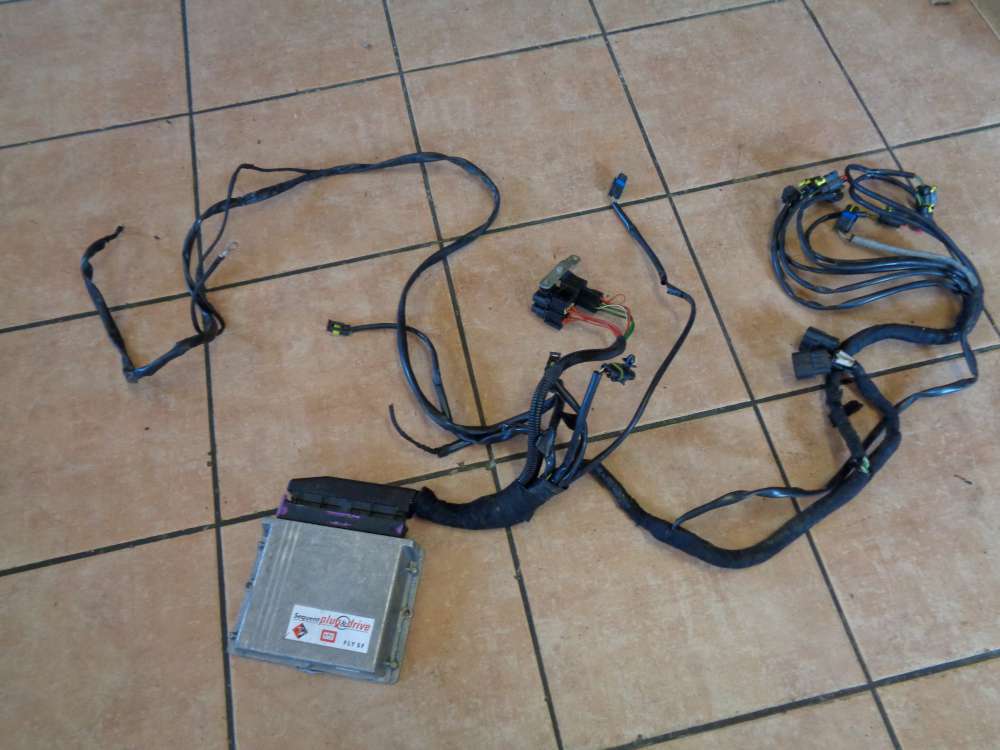 BRC Steuergerät LPG Modul Gasanlage mit Kabel FLY SF 67R011002 110R-001001 031001