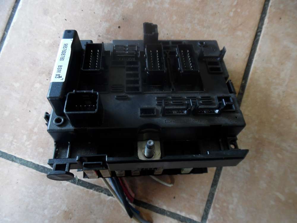 Peugeot 206 Sicherungskasten 9657608780