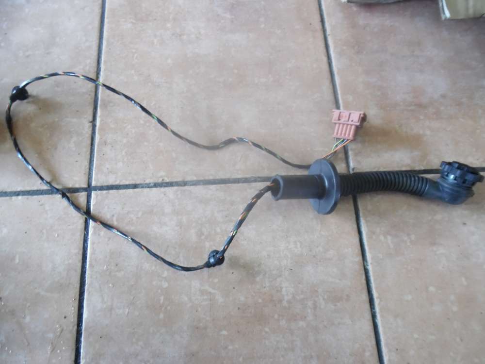 Peugeot 206 T?rkabelbaum Kabelbaum Hinten Links