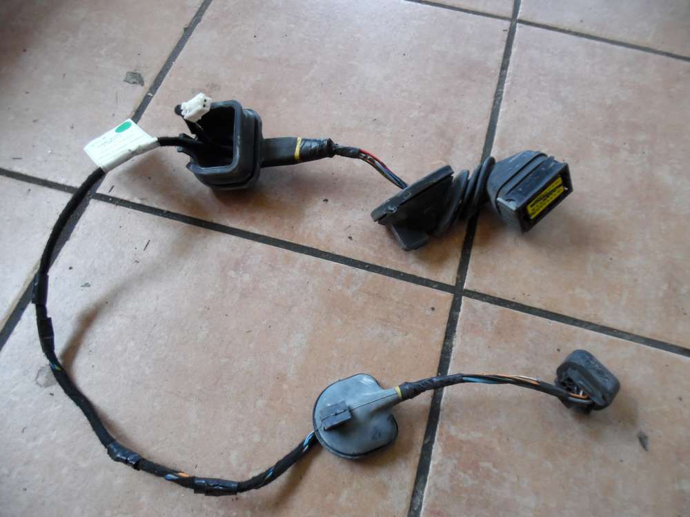 Fiat Stilo 192 T?rkabelbaum Kabelbaum Hinten Rechts 46781537