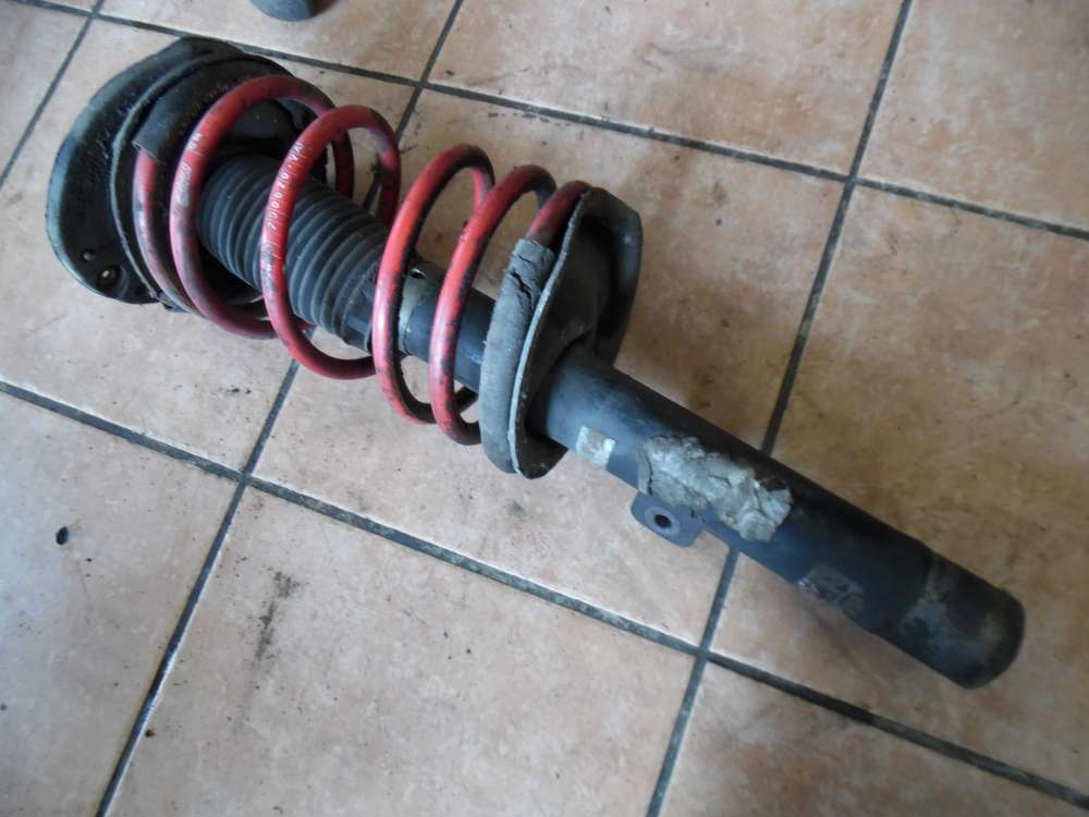 Peugeot 206 Sto?d?mpfer Federbein Vorne Links