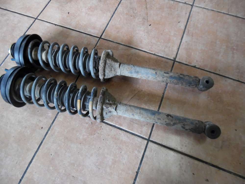 Ford Escort Sto?d?mpfer Federbein Hinten
