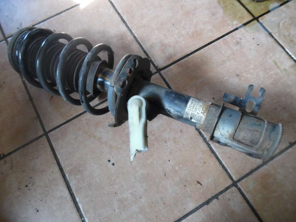 Opel Zafira B Stoßdämpfer Vorne Links 22214012