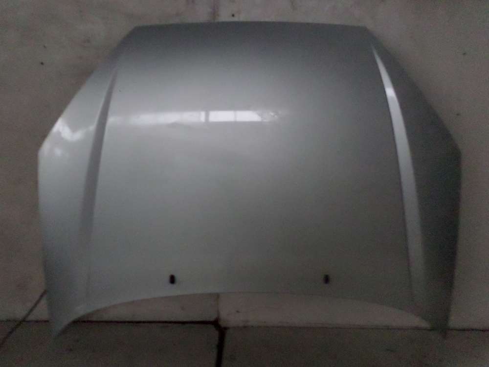 Ford Focus DAW Kombi Motorhaube Farbe : Grau