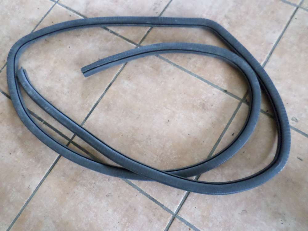 Ford Focus Dichtungsgummi Türdichtung Hinten Links
