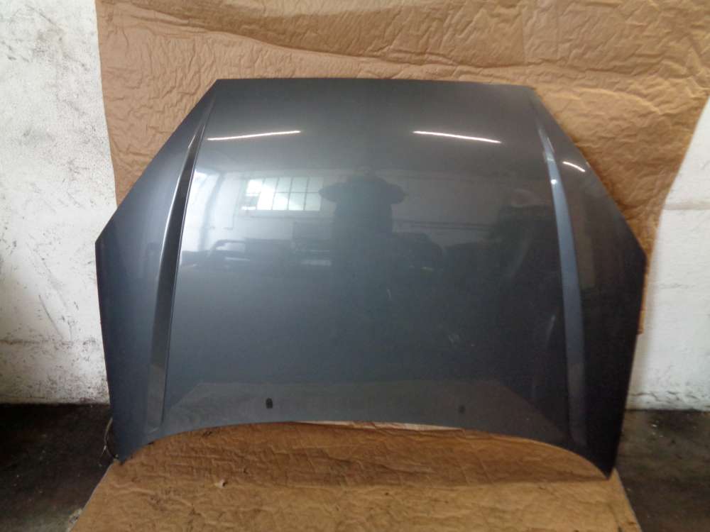 Ford Focus DAW Limousine 3-T?rer Motorhaube Grau
