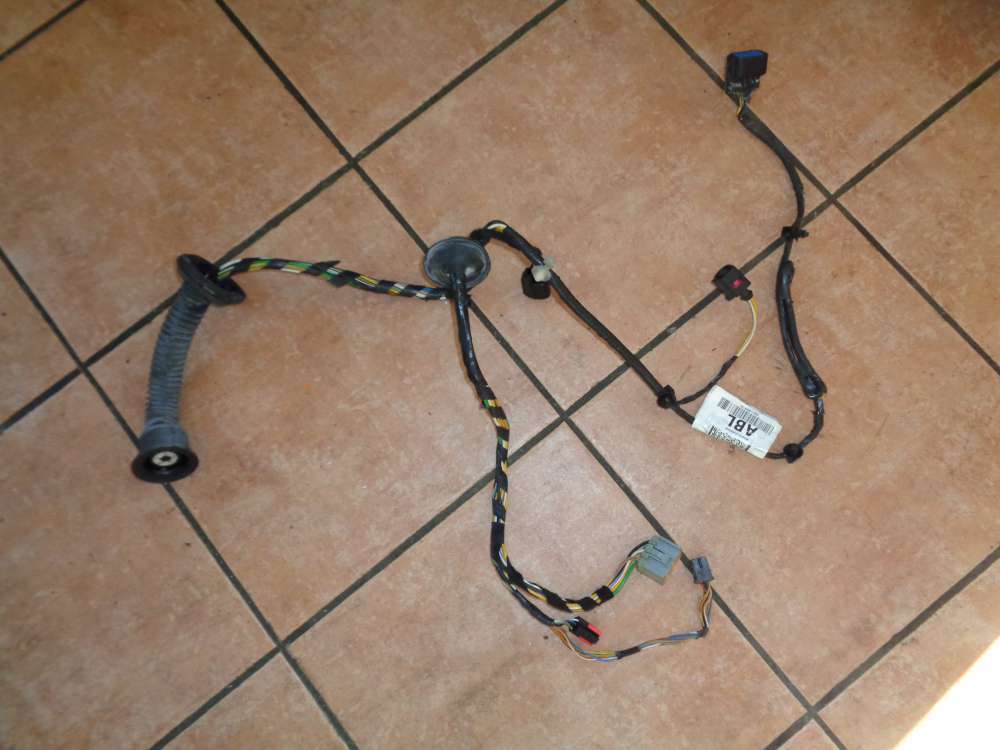 Ford Focus DNW Kabelbaum Türkabelbaum Vorne Links 98AG-14A584