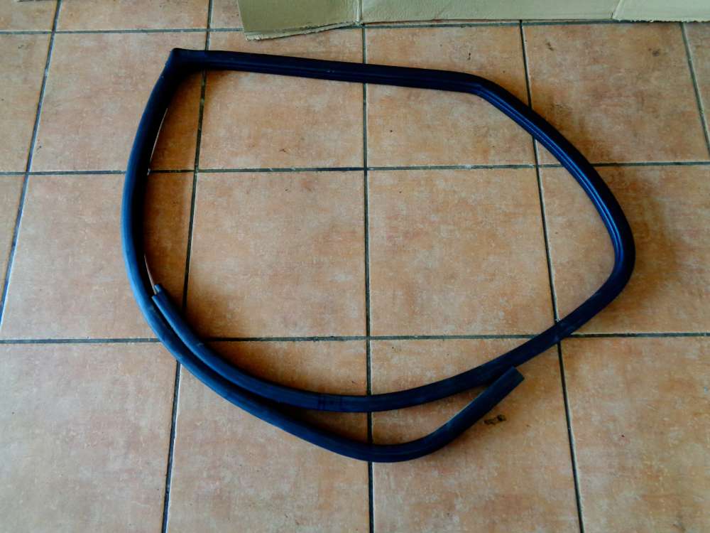Nissan Primera P12 Dichtung Türdichtung Hinten Links