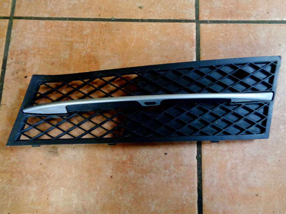 BMW 5er F10 F11 Stoßstange Gitter Vorne Links 51117200699-09