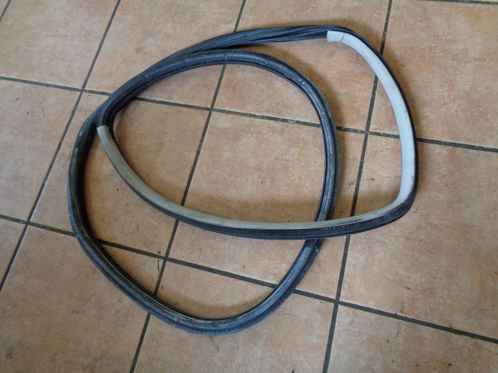 VW Golf 4 4/5 Türer Türdichtung Türgummi Hinten Links