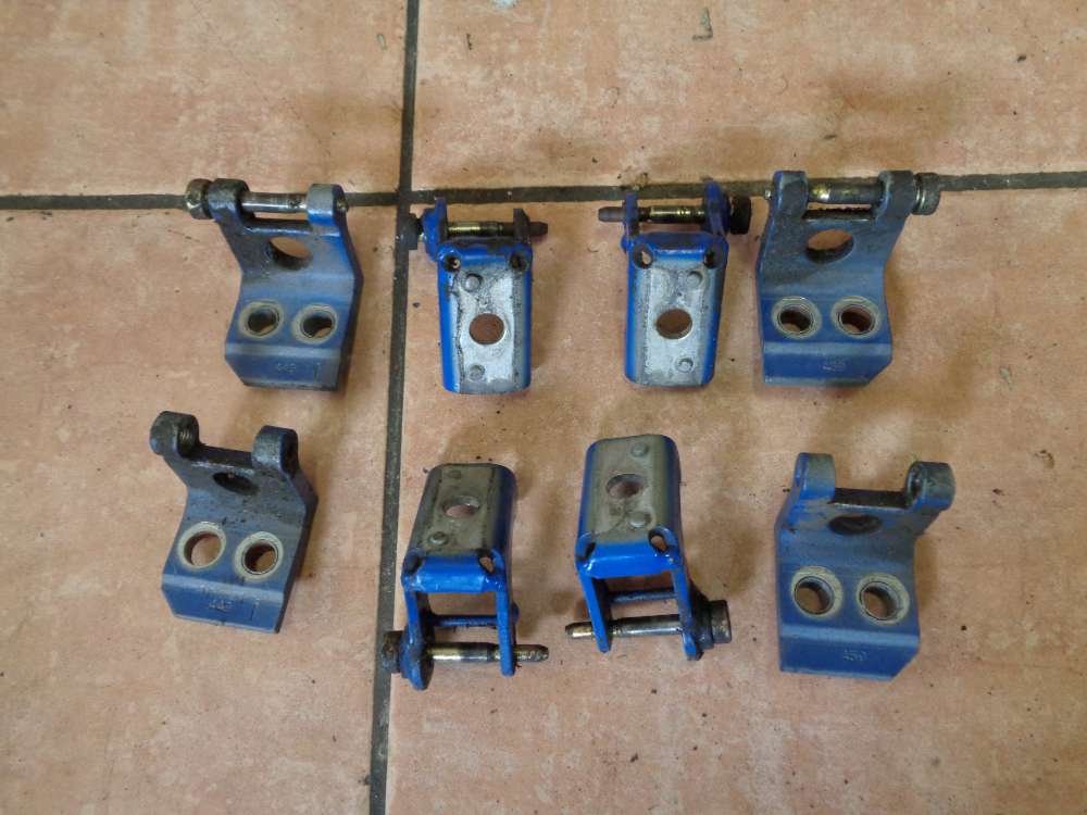 Peugeot 206 Bj:2000 Türschaniere Schanier Hinten und Vorn Links / Rechts Blau EGJ