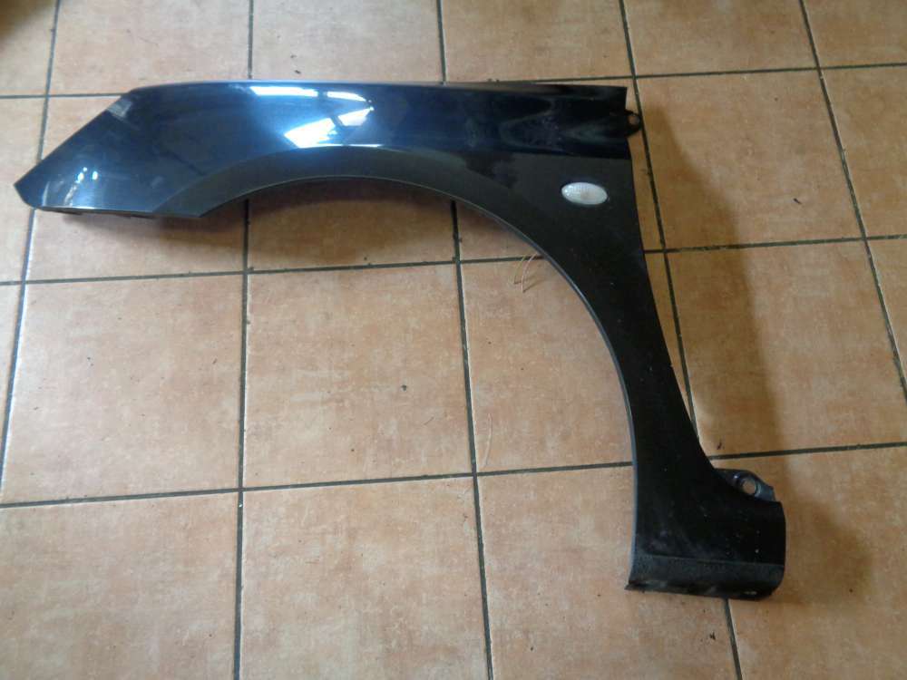 Peugeot 307 Kotflügel Vorne Links Schwarz : EXLD