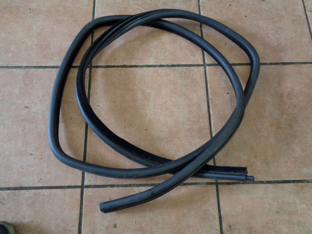 BMW 318i E46 Bj:2000 Türdichtung Dichtung Hinten Rechts 8194775