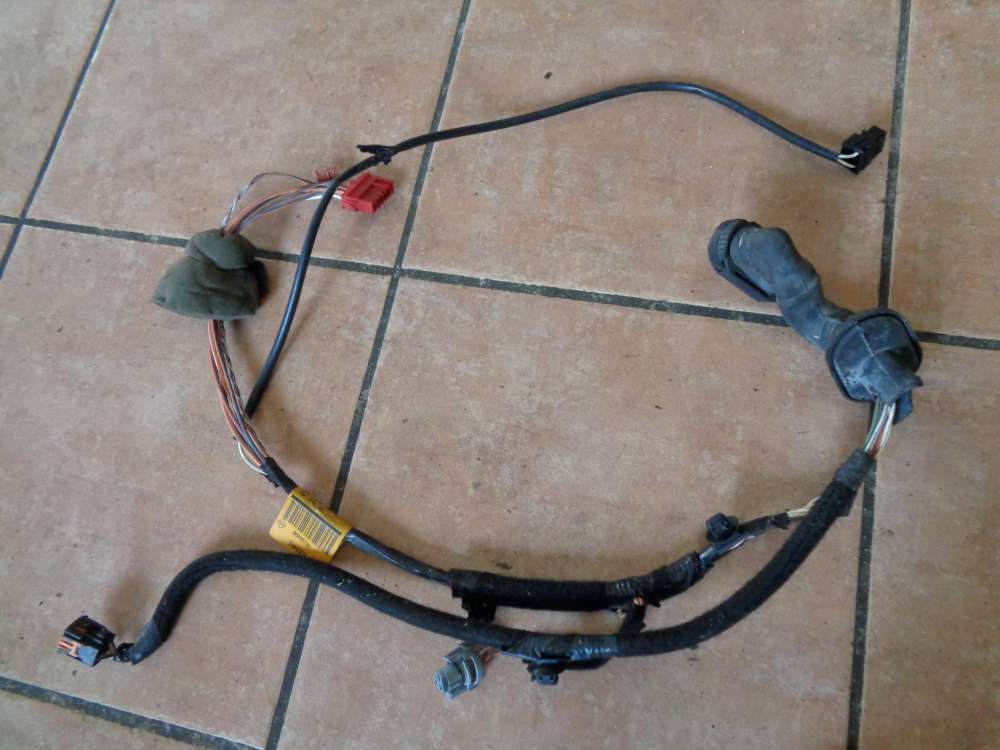 Renault Kangoo KC Türkabelbaum Kabelbaum Vorne Rechts 8200603973A