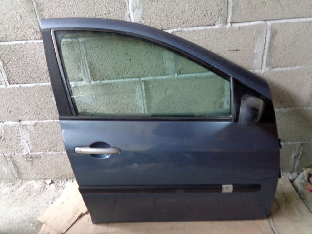 Renault Clio 3 Limousine Tür Vorne Rechts grau
