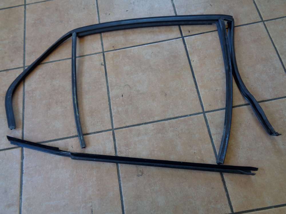BMW 320i E46 Fensterrahmen Fensterdichtung Hinten Rechts