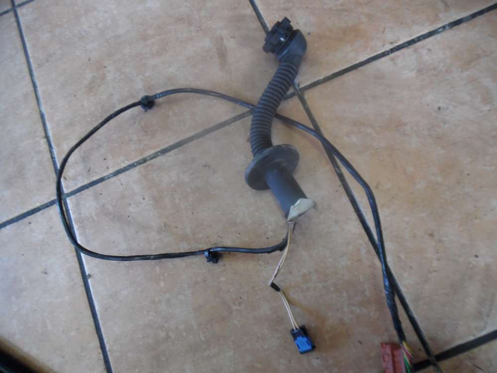 Peugeot 206 Türkabelbaum Kabelbaum Hinten Rechts 9624621680