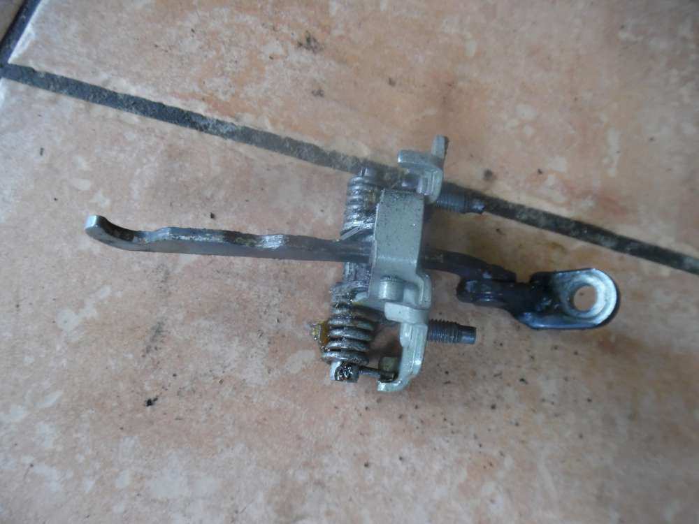 Peugeot 206 Türfangband Türbremse Hinten Links