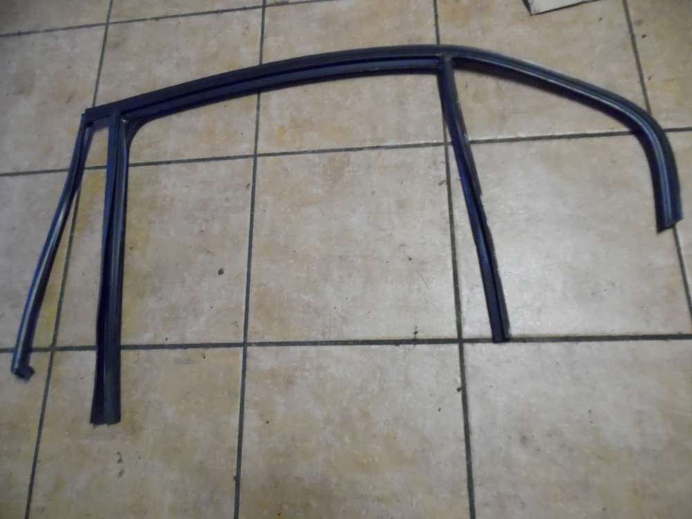BMW 3er E90 Fensterführung Fenstergummi Dichtung Tür Hinten Links