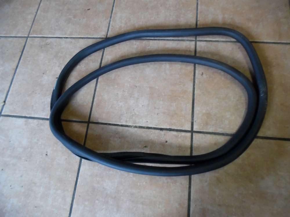 VW Golf 6 VI Türdichtung Dichtung Hinten Links 5K4867913