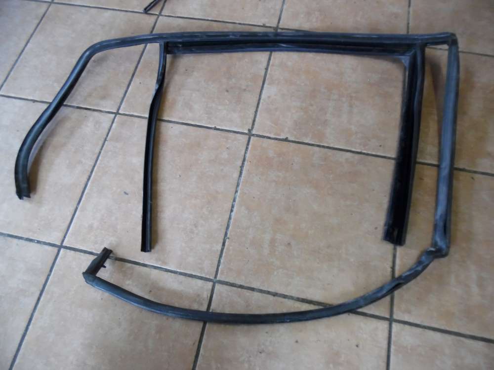 VW Golf 6 VI Fensterführung Abdichtung Hinten Rechts 5K6839432