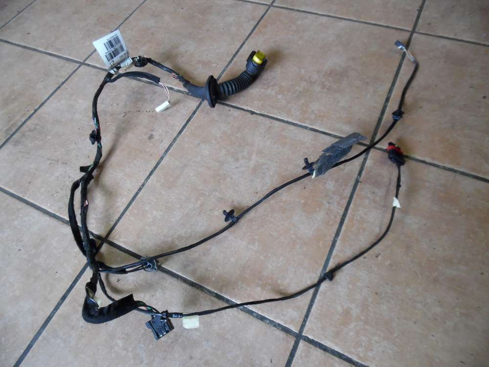 Renault Twingo II Türkabelbaum Vorne Rechts 241252377R