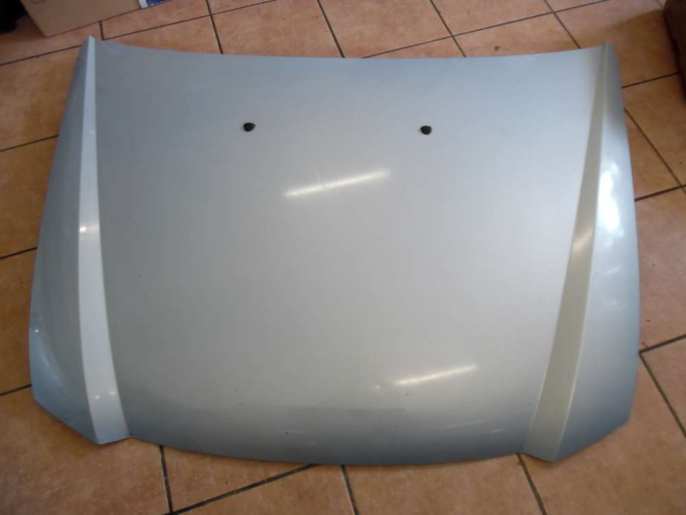 Fiat Stilo 192 Motorhaube grau / Grigio : 823