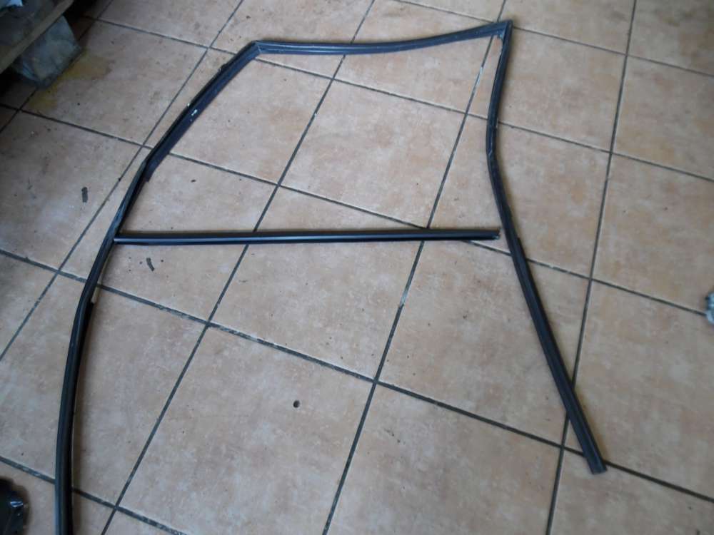 Renault Espace III Fensterdichtung Fensterrahmen Vorne Links