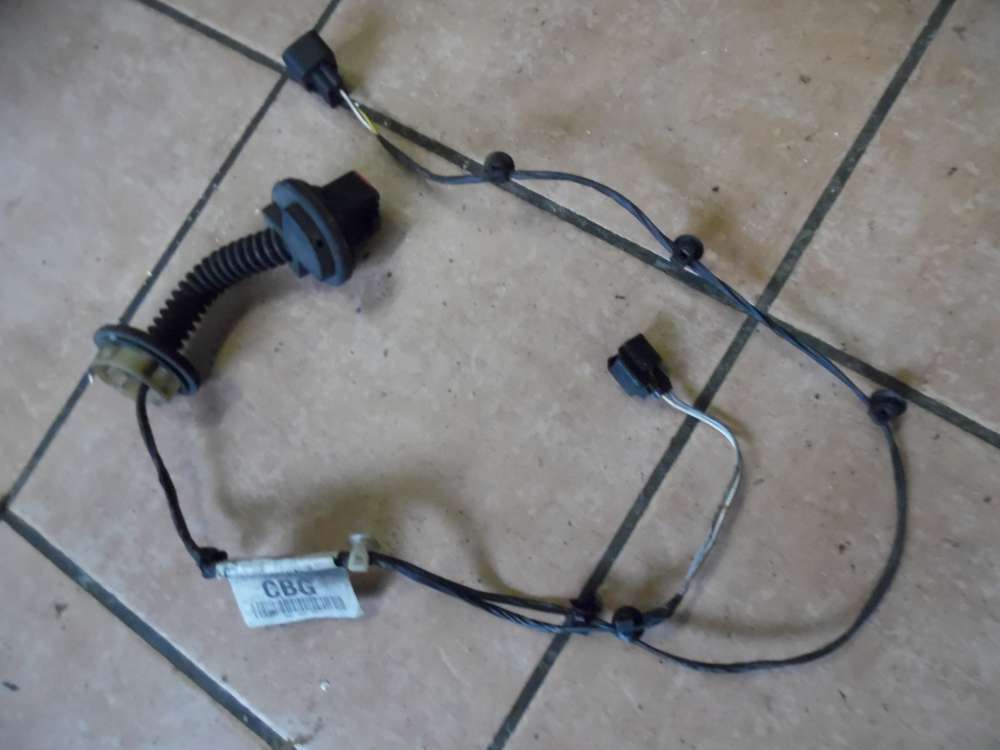 Ford Focus DNW Türkabelbaum Kabelbaum Hinten Rechts 98AG14A584