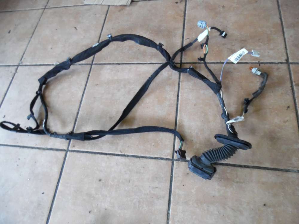 Renault Clio III Türkabelbaum Kabelbaum Vorne Rechts 8200504543