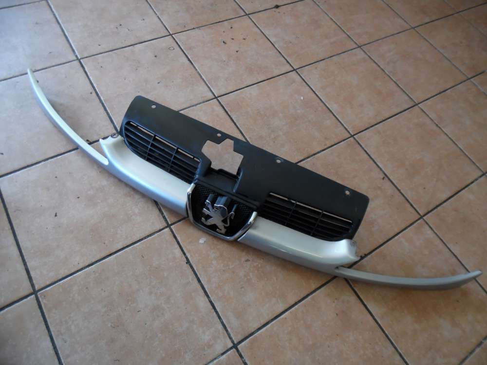 Peugeot 206 Kühlergrill Frontgrill Emblem grau 9628934280