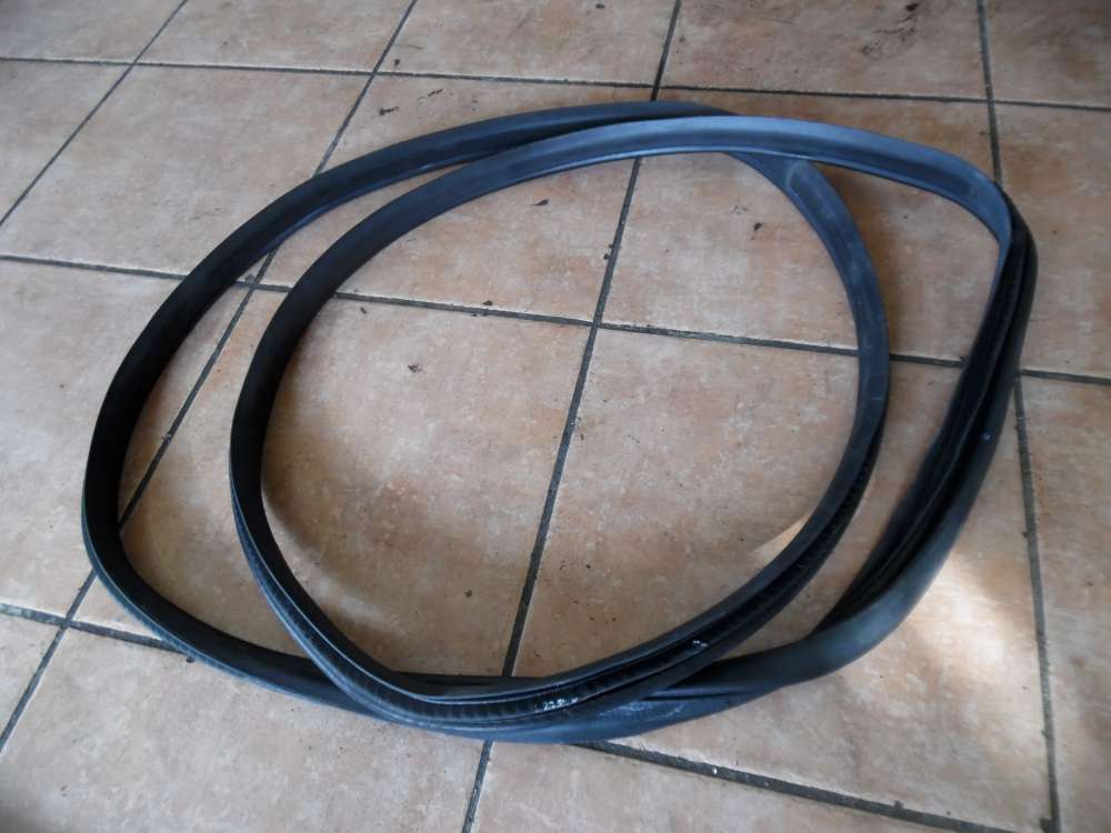 Mercedes A-Klasse W169 Türdichtung Dichtubng Hinten Links 1696920076