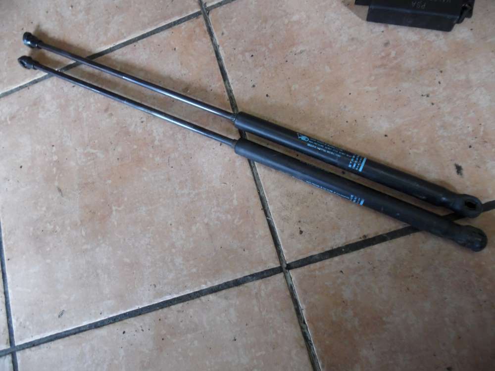 Citroën C4 Heckklappendämpfer Dämpfer 9647295480
