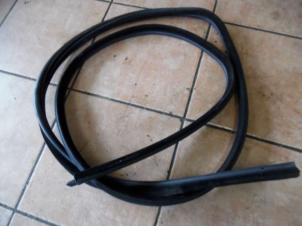 BMW E46 Türdichtung Dichtung Vorne Links