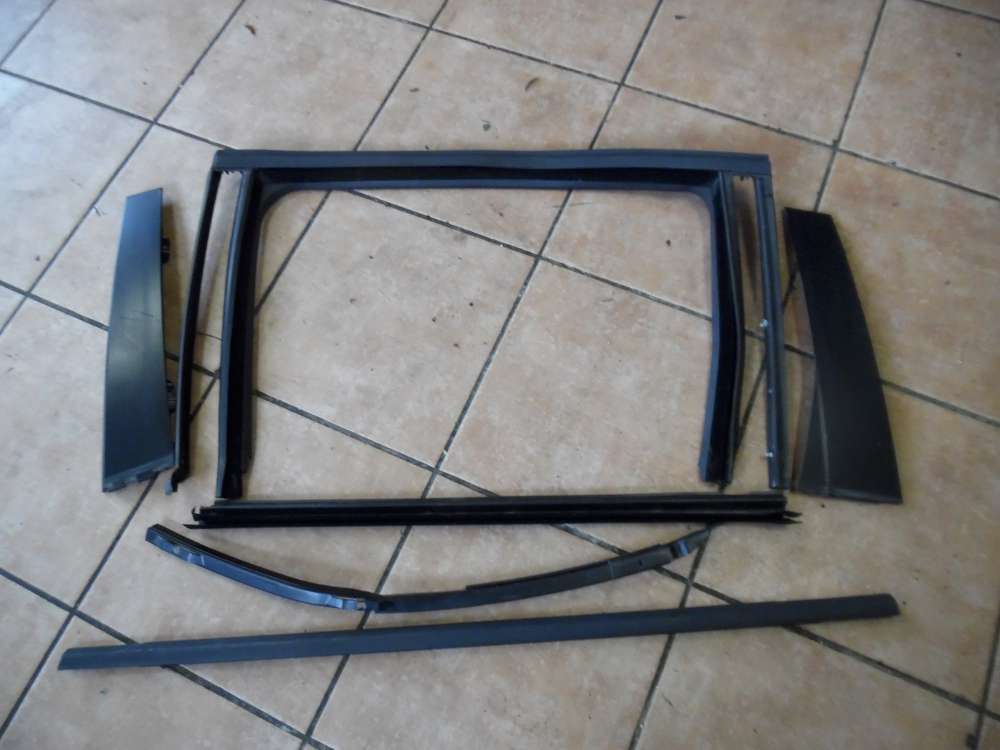 VW Passat 3C Türdichtung Führungsschiene Türrahmen Hi Li 3C9839431C 3C0839901 3C9839065A