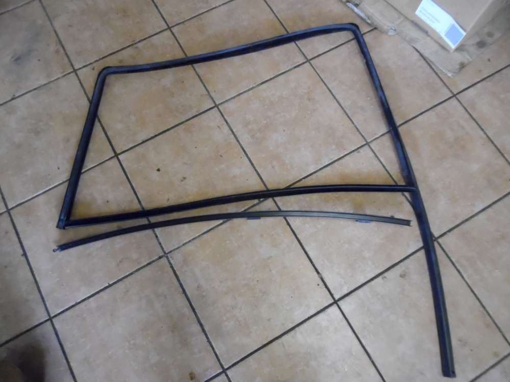 Opel Zafira A Fensterführung Fensterdichtung Hinten Links