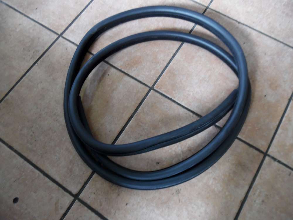 BMW E46 320d Türdichtung Dichtung Hinten Rechts