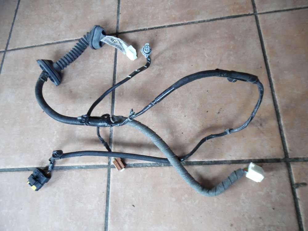 Nissan Qashqai J10 Türkabelbaum Hinten Links 24126EY10C