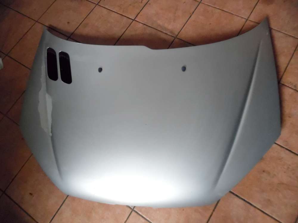 Peugeot 206 3-Türer Motorhaube Silber