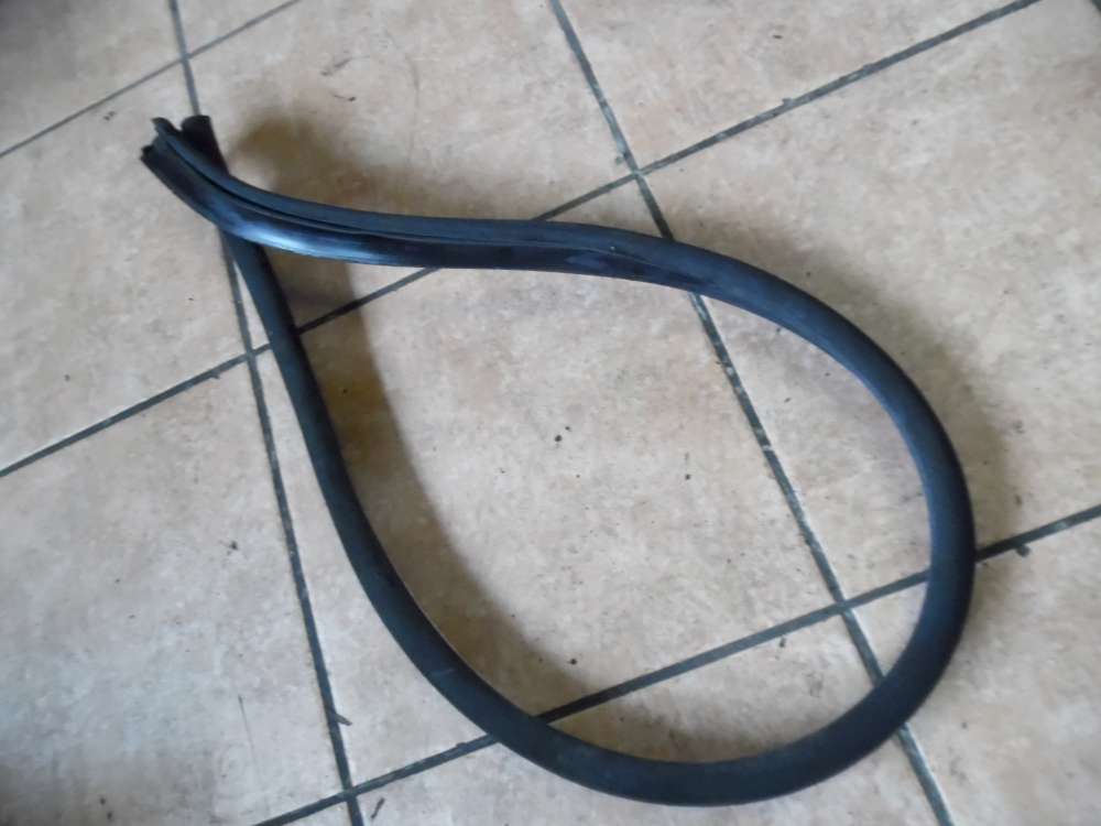VW Golf IV 3-Türer Dachdichtung Dachleiste oben Links
