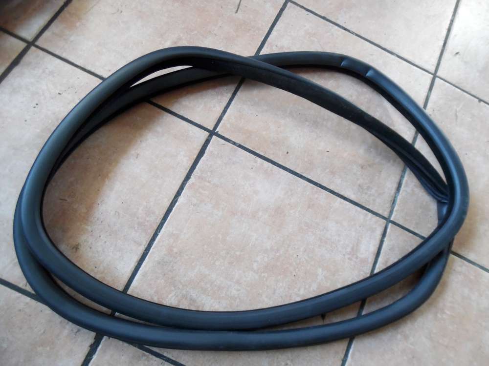 BMW 5er F11 Türdichtung Dichtung Hinten Links