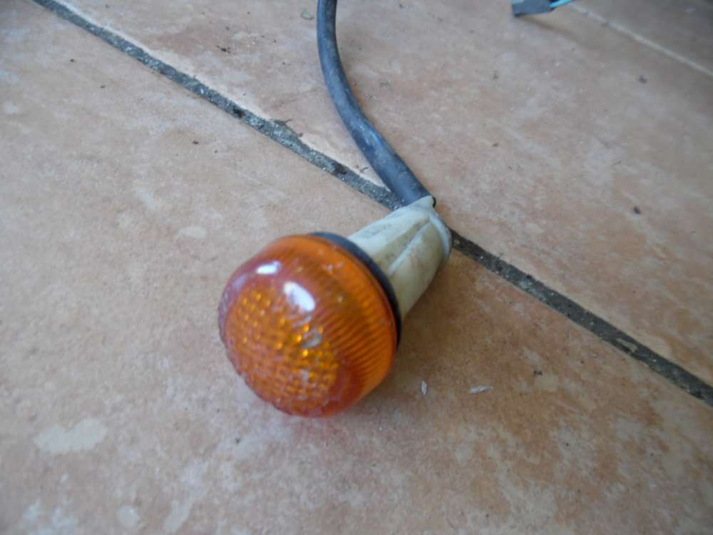 Fiat Panda Y10 Seitenblinker Kotflügel 0255600